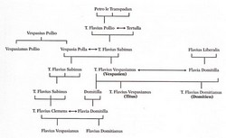 flaviensQ29.jpg